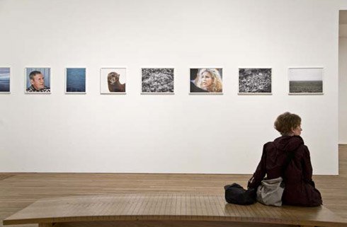 default-exhibitions